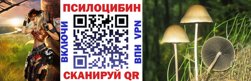 Псилоцибиновые грибы Cubensis  как найти   Медвежьегорск 